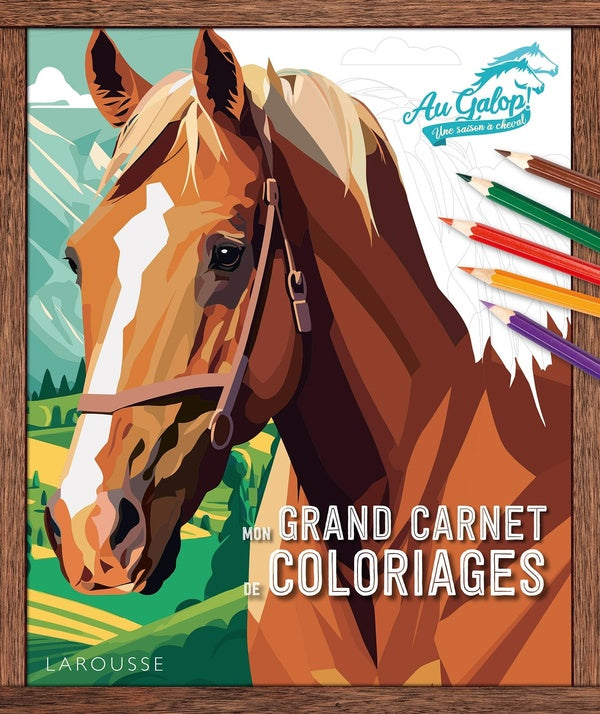 Au galop ! Une saison à cheval : Mon grand carnet de coloriages