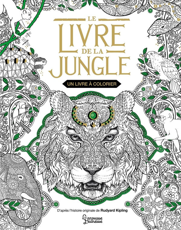 Le livre de la jungle : Un livre à colorier