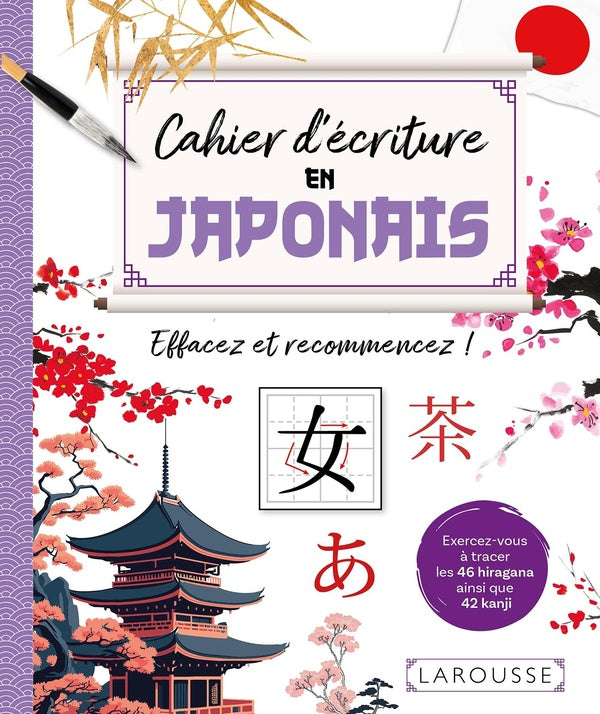 Cahier d'écriture en japonais : Effacez et recommencez !