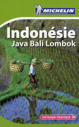 Voyager pratique : Indonésie ; Java, Bali, Lombok