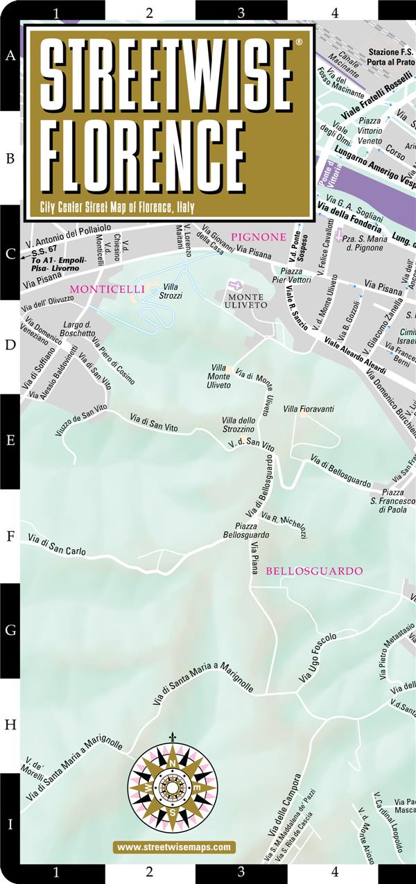 Streetwise Florence - flash vidéo