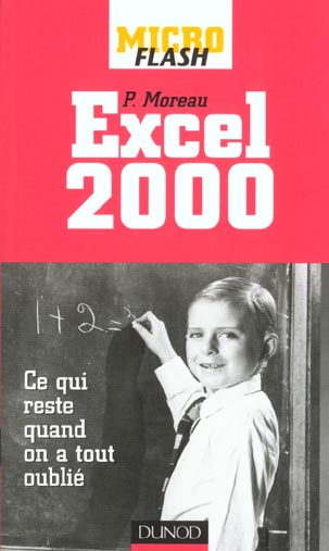 Micro flash excel 2000