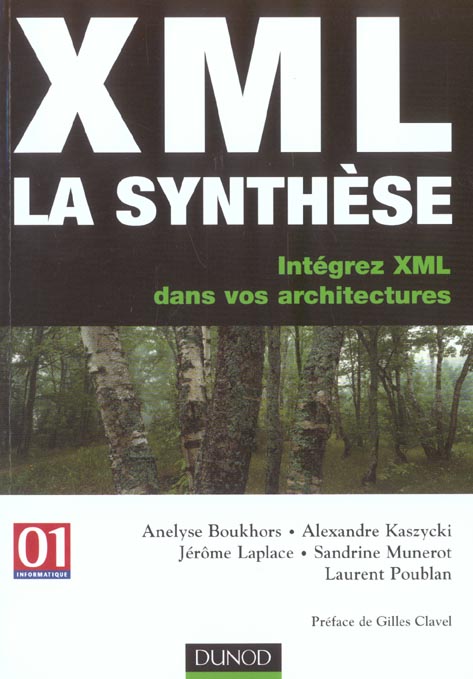Xml : la synthese ; integrez xml dans vos architectures ; edition 2003