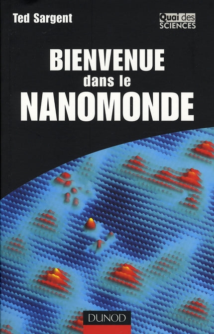 Bienvenue dans le nanomonde ; comment les nanotechnologies vont transformer notre vie