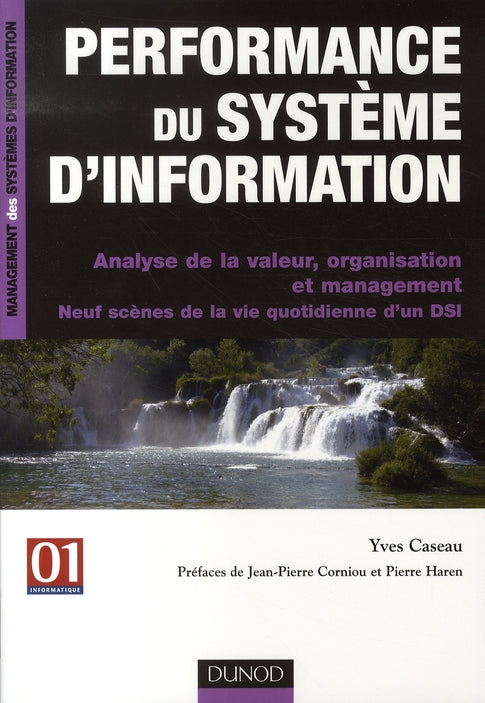 Performance du système d'information