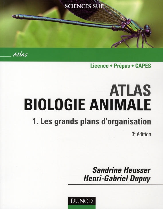 Atlas biologie animale Tome 1 ; les grands plans d'organisation ; licence/prépas/CAPES (3e édition)