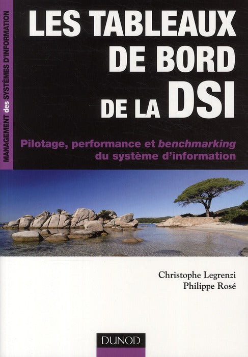 Les tableaux de bord de la DSI ; pilotage, performance et benchmarking du système d'information