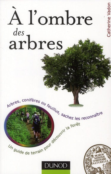 à l'ombre des arbres ; un guide de terrain pour découvrir la forêt ; arbres et arbustes, sachez les reconnaître