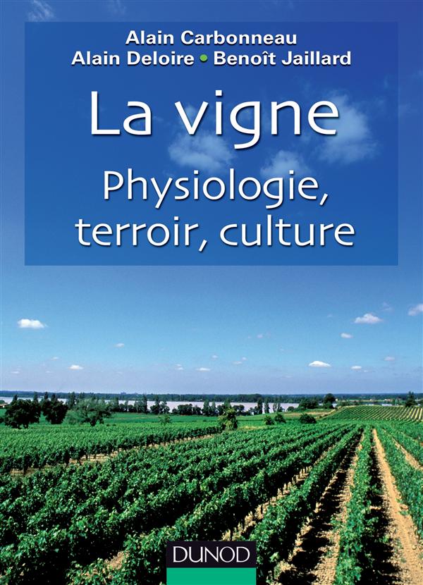 La vigne ; physiologie, terroir, culture