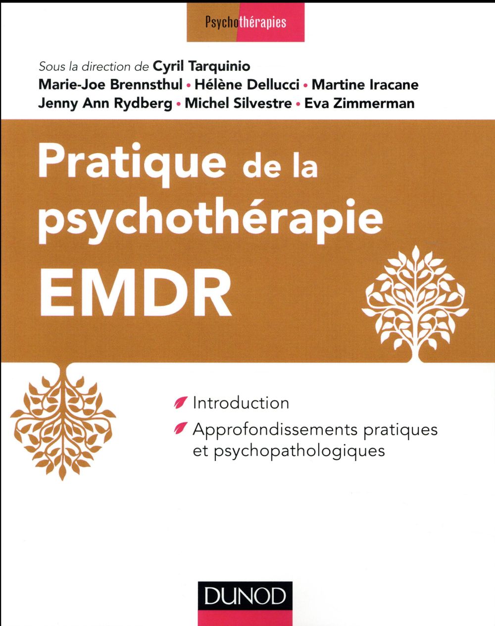 Pratique de la psychothérapie EMDR ; introduction et approfondissements pratiques et psychopathologiques