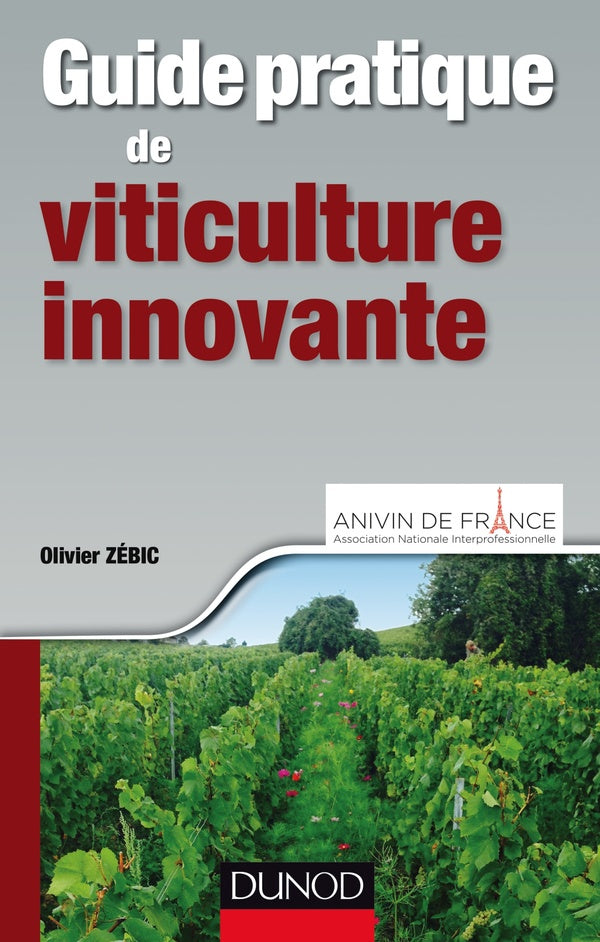 Guide pratique des vignobles à hauts rendements