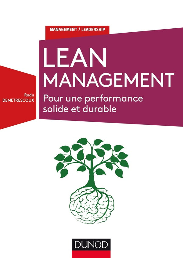 Lean management ; pour une performance solide et durable