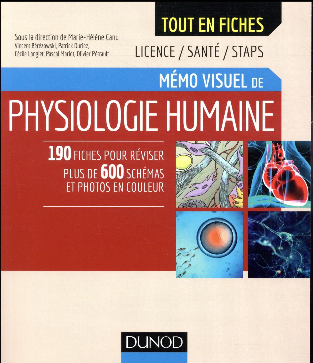 Mémo visuel de physiologie humaine