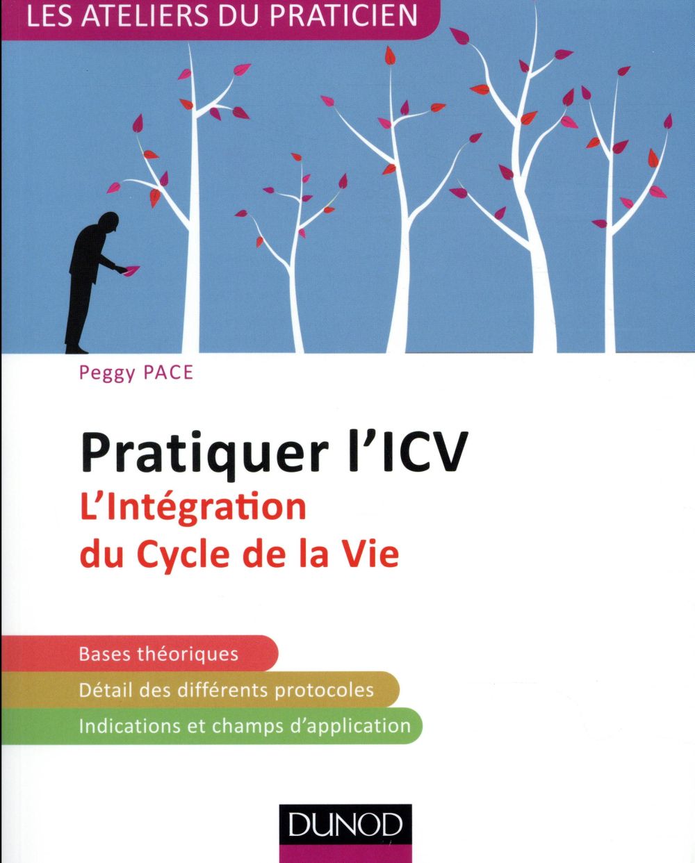 Pratiquer l'ICV ; l'intégration du cycle de la vie (lifespan integration) (2e édition)