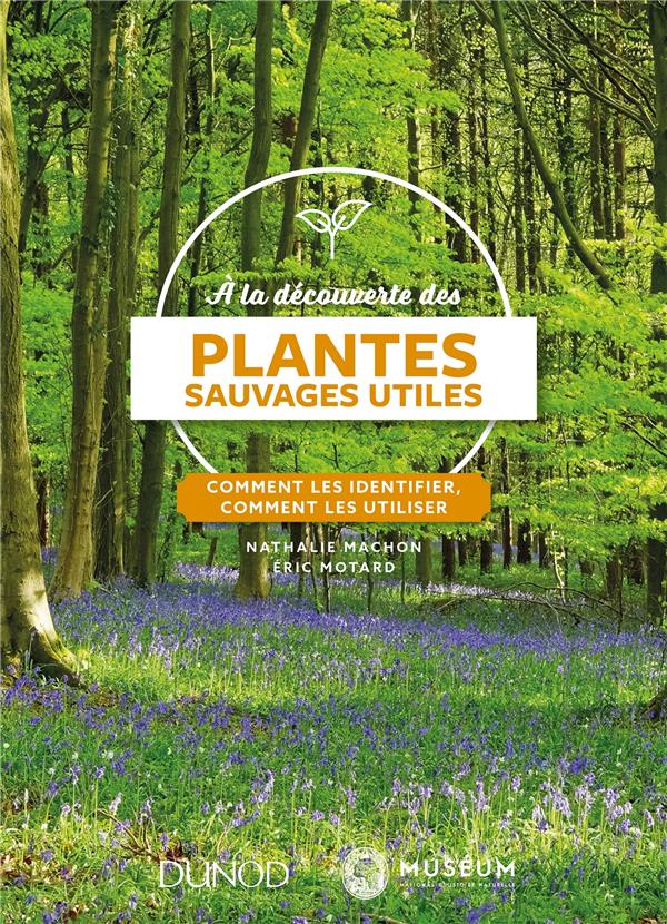 à la découverte des plantes sauvages utiles ; comment les identifier, comment les utiliser