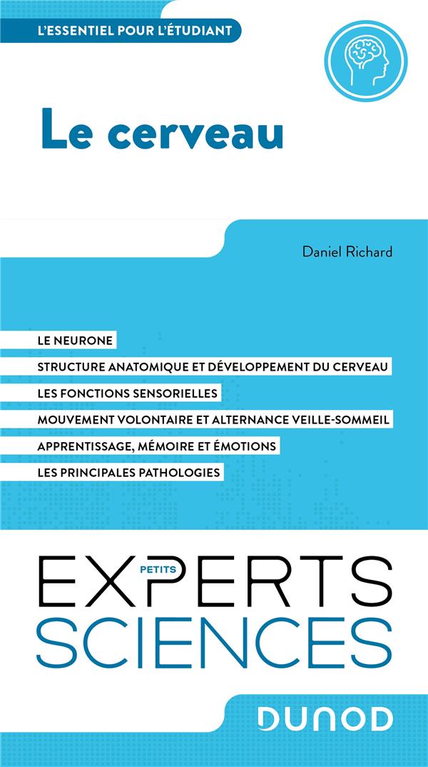 Le cerveau : l'essentiel à savoir
