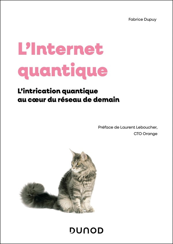 L'Internet quantique : L'intrication quantique au coeur du réseau de demain