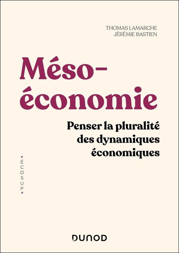 Mésoéconomie : Penser la pluralité des dynamiques économiques