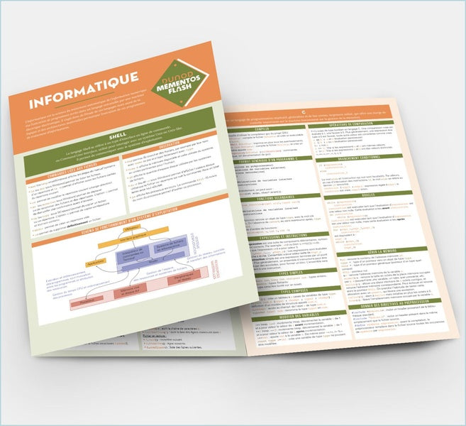 Mémentos Flash : Informatique