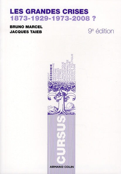 Les grandes crises ; 1873-1929-1973-2008 ? (9e édition)
