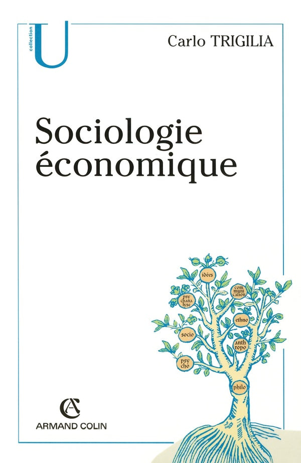 Sociologie économique - État, marché et société dans le capitalisme moderne : État, marché et société dans le capitalisme moderne