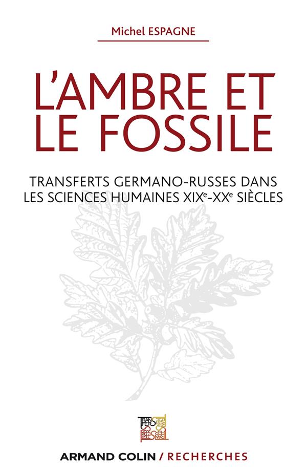 L'ambre et le fossile ; transferts germano-russes dans les sciences humaines XIXe-XXe siècles