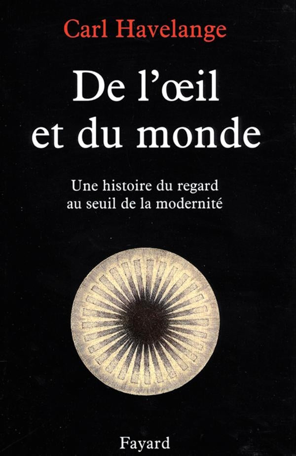 De l'oeil et du monde ; une histoire du regard au seuil de la modernité