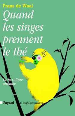 Quand les singes prennent le the