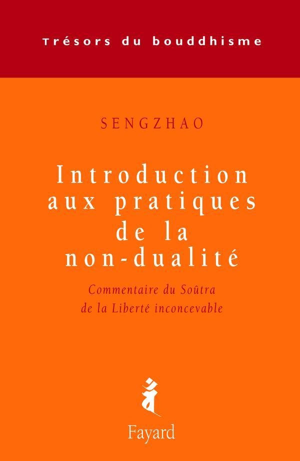 Introduction aux pratiques de la non-dualité