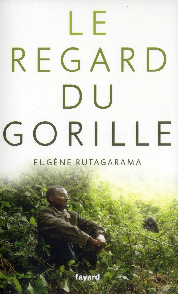 Le regard du gorille