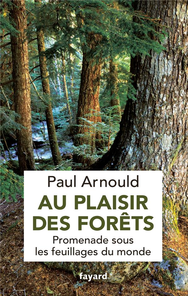 Au plaisir des forêts ; promenade sous les feuillages du monde