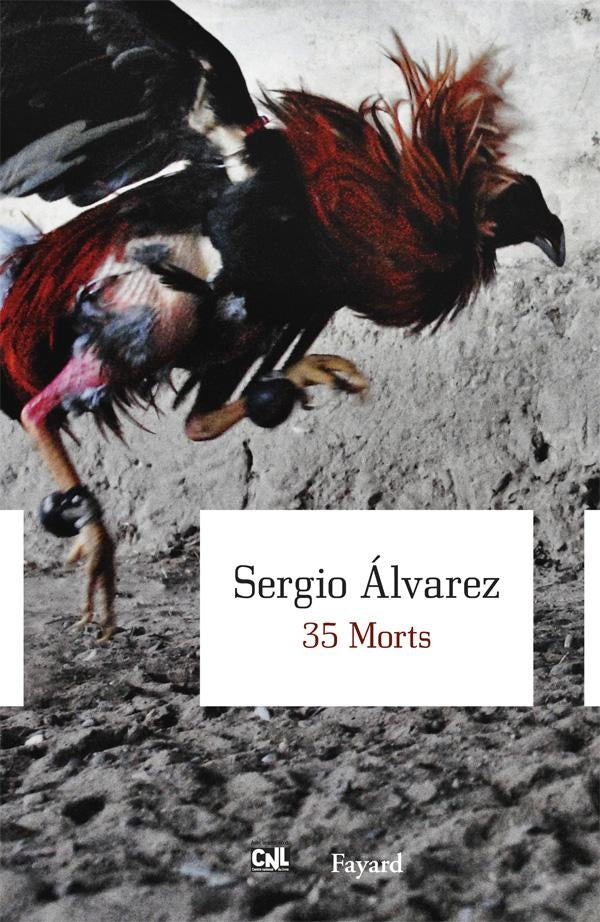 35 morts