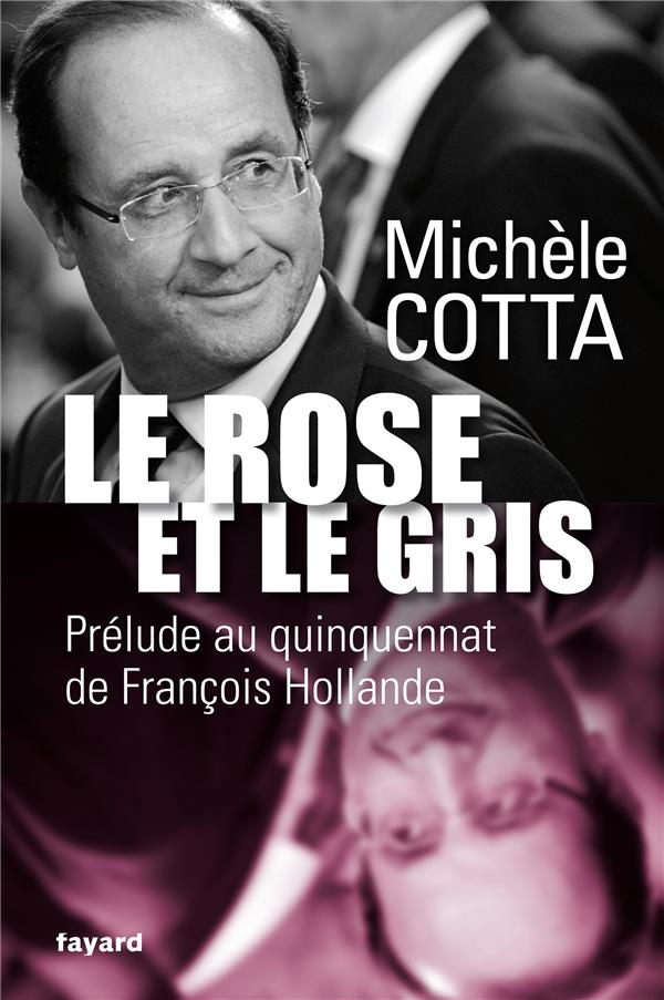 Le rose et le gris ; prélude au quinquennat de François Hollande