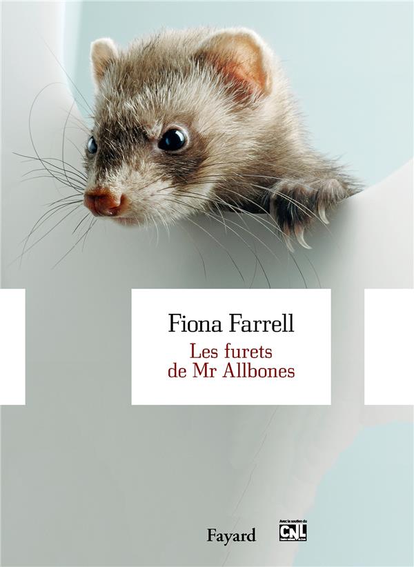 Les furets de mr Allbones