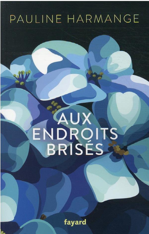 Aux endroits brisés