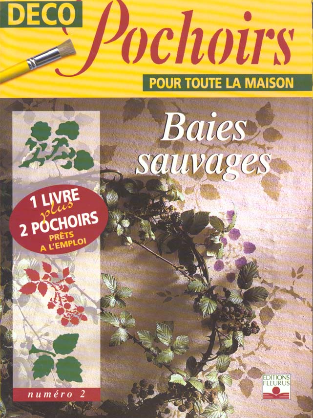 Baies sauvages nr. 2 - flash vidéo