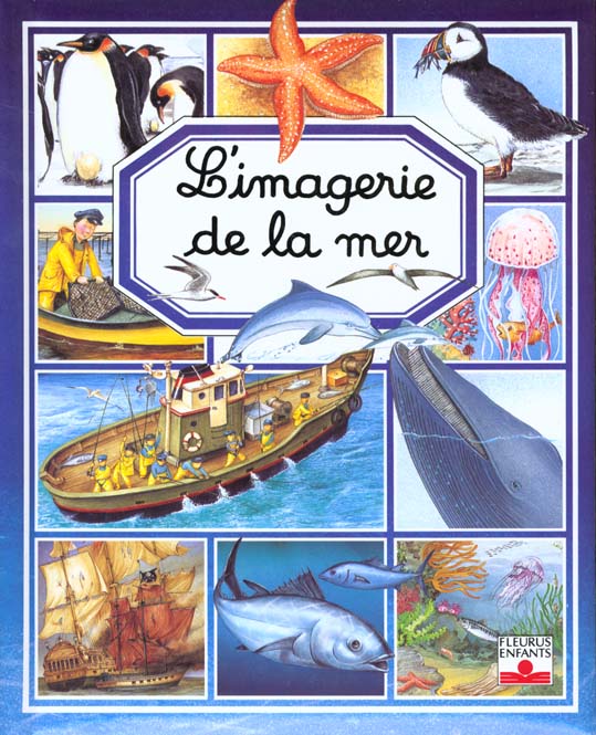 L'imagerie de la mer - flash vidéo