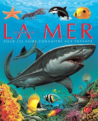Les animaux de la mer (édition 2002) - flash vidéo