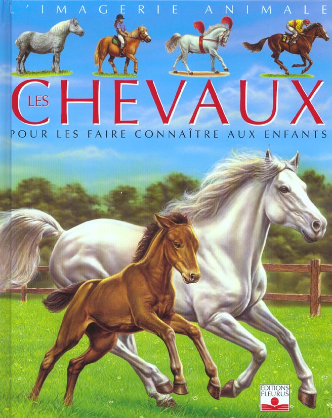 Les chevaux - flash vidéo