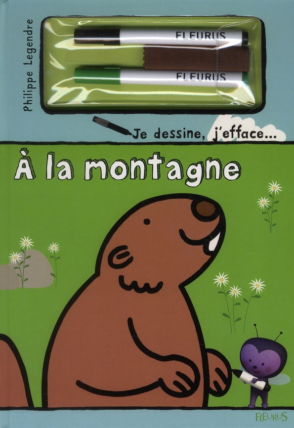 à la montagne - flash vidéo