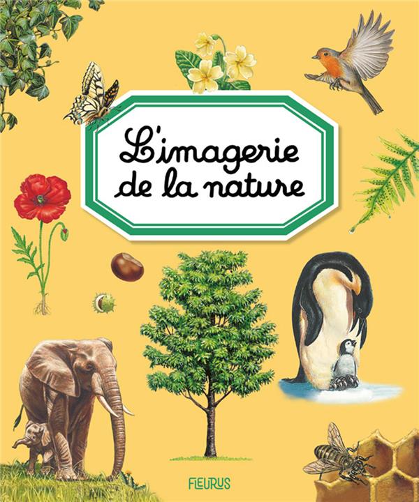 L'imagerie de la nature - flash vidéo