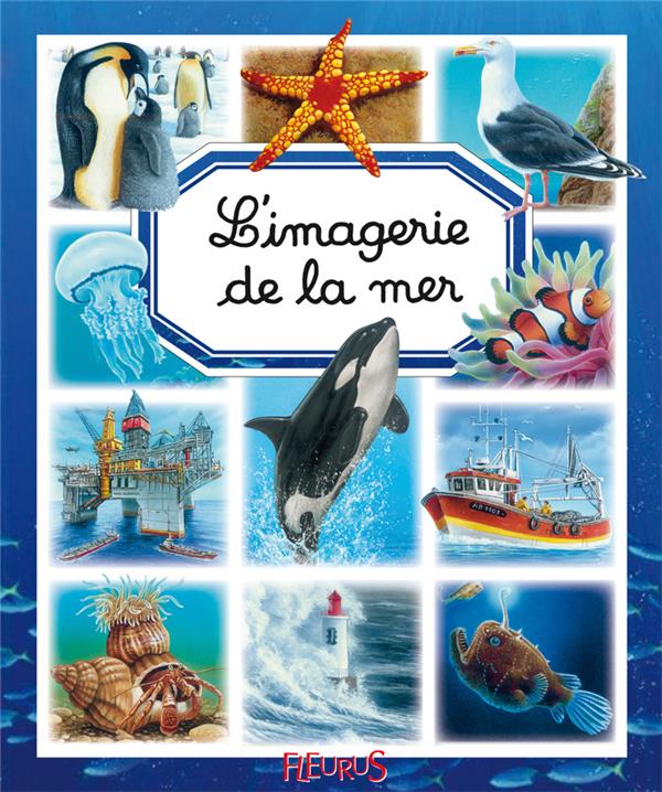 L'imagerie de la mer - flash vidéo