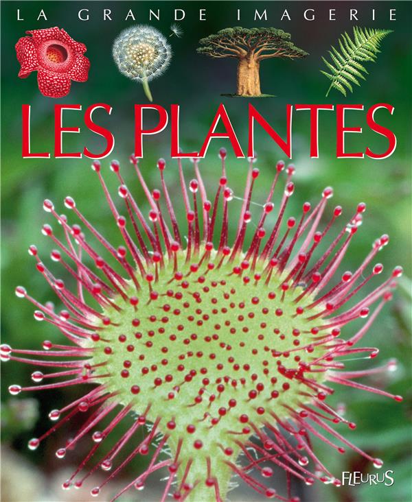 Les plantes - flash vidéo
