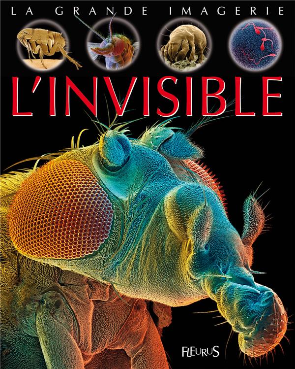 L'invisible - flash vidéo