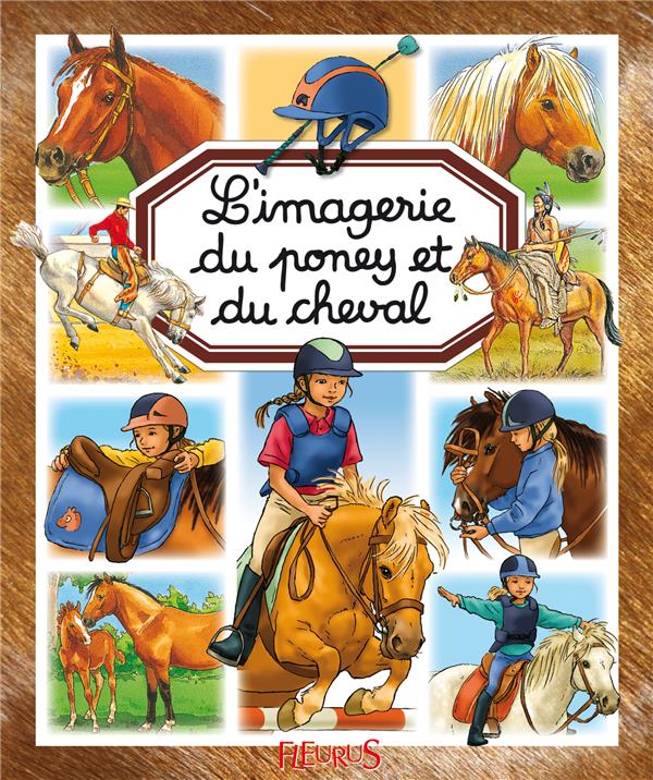 L'imagerie du poney et cheval - flash vidéo