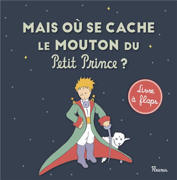 Mais où se cache le mouton du Petit Prince ? - flash vidéo