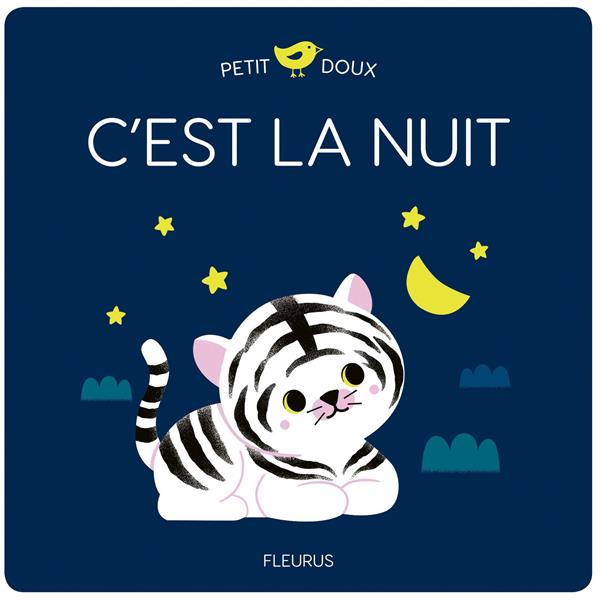 C'est la nuit - flash vidéo