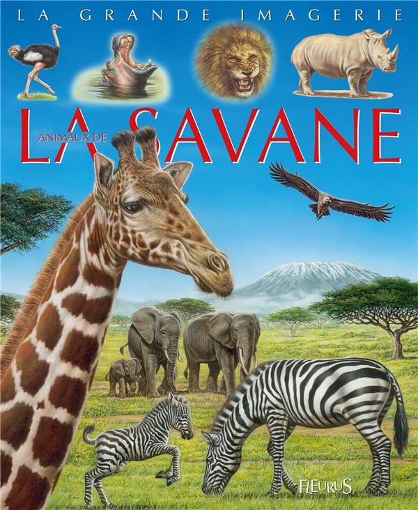 Les animaux de la savane - flash vidéo