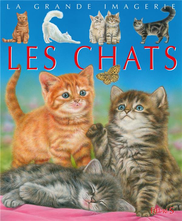 Les chats. - flash vidéo