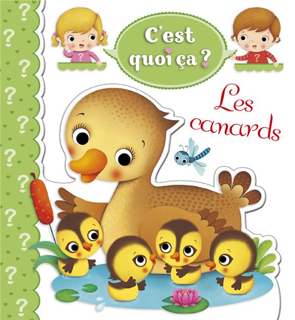 C'est quoi ça ? : les canards - flash vidéo